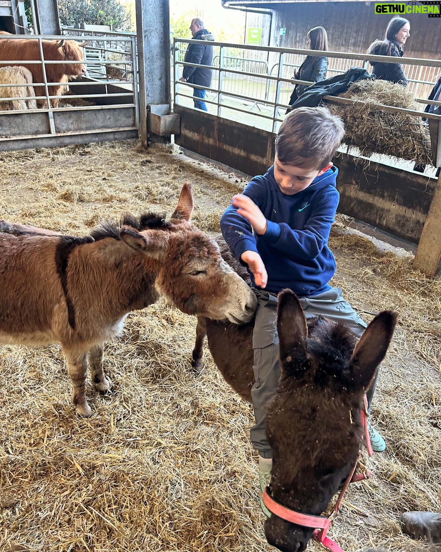 Helen Skelton Instagram - More from the farm β¦. Including some of the best visitors and additions. Spring time on the farm continues tonight 8pm @channel5_tv π΄πππ₯ #spring #farming #springtime #televisionshow #rurallife #yorkshire
