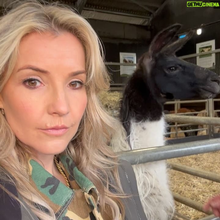 Helen Skelton Instagram - So much love for this little Pygmy …. We will keep you posted on how the little goat goes over the next few nights. @onthefarmc5 continues tomorrow and Friday 8pm @channel5_tv #farming #yorkshire #goats #pygmy #spring