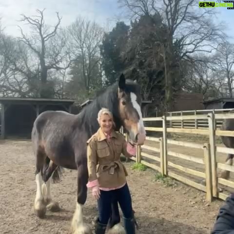 Helen Skelton Instagram - CLOTHES….. Took a million pics last week on the farm …. Before I spam you with the baby animals here’s the clobber because that’s what 90 % of my dms are about… very grateful to be working with @gooutdoors and @jdwilliamsuk at the minute which means I have some welcome additions to my wardrobe … alongside that some lovely brands, big and small have loaned me things recently so I tagged them. Plenty of these boots and jackets are years old ….One of these wax jackets had a football ticket from 2017 in the pocket….. if clothes could talk 😳😉 😆 Thank you @annabelkermanstylist for sorting me out, thank you @melissabourne for painting my face ❤️ Pic 1. Jacket @karen_millen shirt @insidejigsaw jeans @jdwilliamsuk (ad) Pic 2. Waistcoat and boots @fairfaxandfavor Jacket @gooutdoors (ad) leggings and belt @marksandspencer @marksandspencerstyle @sockshopuk Pic 3. Jeans @marksandspencer jacket necklace @chlobojewellery @warehouseuk waistcoat @jdwilliamsuk (ad) @marksandspencerstyle Pic 4. Waistcoat @fairfaxandfavor shirt @jdwilliamsuk (Ad) jacket @gooutdoors (ad) Pic 5. Waistcoat @wyselondon @chlobojewellery shirt @jdwilliamsuk (ad) boots @fairfaxandfavor jeans @marksandspencer #farm #yorkshire #rurallife #outdoors #clothes #layers #outdoorwear #ad #loans #