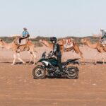Helena Costa Instagram - Faz da vida um passeio. Tinha que deixar aqui um resumo desta viagem incrível com estas motas incríveis!! @bmwmotorradpt #GSExperience2024 #Marrocos #SpiritOfGS #BMWMotorradPT #MakeLifeARide #BMWMotorrad