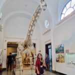 Helena Luz Instagram - Última semana de férias e tirei o dia para arte, arquitetura e história, muita história!!! Museu do Ipiranga e Museu de Zoologia da USP. Fiz self com Dom Pedro, conheci uma mega pintura, foto com esqueleto, self com urso!! Qual foto vc mais gostou?? . . . . . . . . #museudoipiranga #ipirangamuseum #museudezoologia #turismosp #prefeiturasp