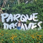 Helena Luz Instagram - #tbt especial hoje... um resumão da minha visita ao @parquedasaves Este parque é internacionalmente conhecido pela recuperação e conservação das aves de maus tratos e tráfico. Queria que todos vocês pudessem visitar, que mágico é estar lá dentro e ver uma arara cantar e dançar!!! 🫶🏻😁❤️ . . . #ParquedasAves #melhoresdestinos #turismobrasil #avesdobrasil #cataratasdoiguaçu #iguassufallsbrasil #melhoresdestinos #terradascataratas