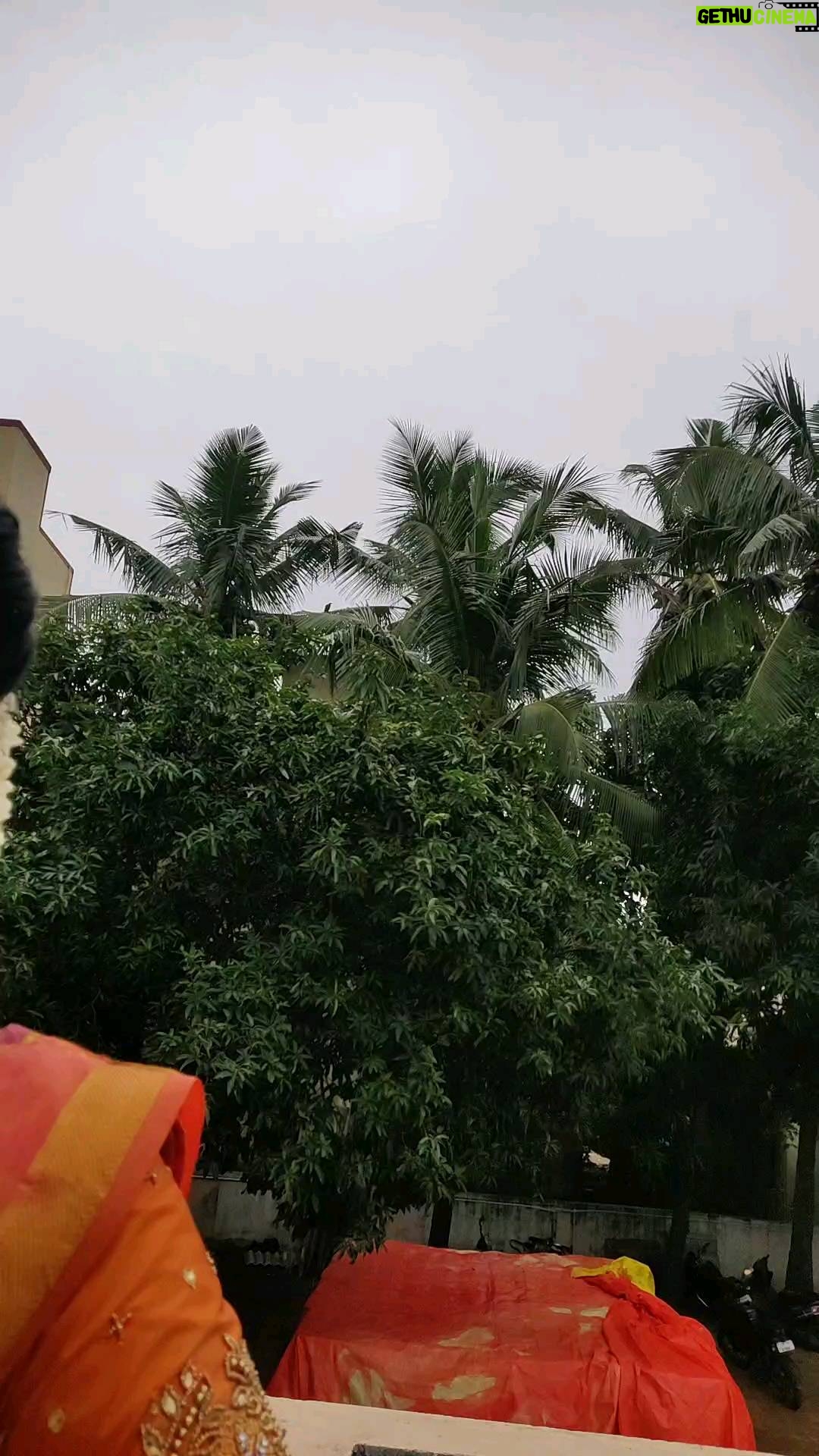Hema Dayal - 46K Likes - 🥰😘🤩 first time dance video with @suganyavish beb🤩
.
.
Jewellery :@chicjewells
Blouse aari :@roja_aari_works_adyar
.
#hemadayal18 #hemadayal #hema #valaiyavirichiveesu #tamilsongs #trendingsongs #tamilserial #meenakshiponnungaserial #zeetamil #pooja #serialartist #trendingreels #explore #explorepage #gpmuthu #gpmuthusong #dancelove #dancereels