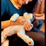 Hema Dayal Instagram – My dream one…🥺🥰🤩❤️
@iamnyke cutie….😘
Sweet chellam 😘❤️
.
#hemadayal18 #iamnyke #hemadayal #hema #dogslover #explore #explorepage