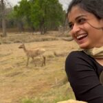 Hemal Ingle Instagram – Carefree amidst nature 🌳. Been 2 years to this trip, Kanha is magical, it stirred something inside of me and changed my way of looking at life. Missing my two Musketeers @anushka_patilgupta @gunjanhirani ❤️, we need to do this again, soon! 
.
.
.
[Kanha, Tiger Reserve, Nature, Safari, Deer, Jungle, Forest]
