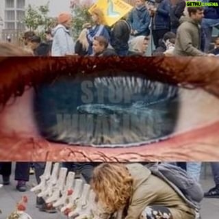 Hera Hilmar - 17.5K Likes - Repost from @nicoswdn and @last_whaling_station :
“Please take the 40 seconds to learn about the huge tragedy caused by Iceland’s government.
Iceland just started whaling again. It is believed that
over 200 fin whales will be killed this season to be
shipped to Japan.
Fin Whales are the second largest animals on earth
and like any other whales, they are taking a big role
in the ocean and the environment!
Please raise your voice against this horrible decision
and help to spread knowledge.
Share this video with your friends, family and
followers.
Together we can make a difference 🙏💙
Footage: @nicoswan
Voiceover: @nicoswan
Graphics: @styngvi
Music: @artlist.io
Check out @last_whaling_station 🐋 “
Petitions to sign in bio @herahilmar @hvalavinir 🐋
You can write to our ministers:
@svandissvavarsdottir (food, agriculture and fisheries),
@liljaalfreds (culture),
@gudlaugurthor (environment).
#stopwhaling #safethewhales #iceland
#togetherstronger #environment #oceanlife
#safeourplanet #lumixsseries #lumixdeutschland
#lumix #ocean #oceanicpreservationsociety
#oceanpreservation #oceansnation