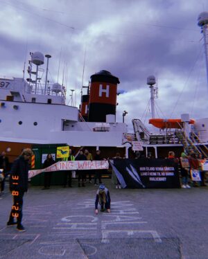 Hera Hilmar Instagram - The Whale Eye of the Storm 🐋

Iceland has just decided, by minister
@svandissvavarsdottir, to start whaling again. The quota this year is 209 fin whales. 

Today the ships were allowed to leave harbour, but the elements have spoken and a storm will keep them at bay till Monday.

Right now the film industry fights the whaling industry, that is jeopardising our country's income of at least 100-200 million dollars each year from foreign projects alone. The whaling industry, that is run at a loss each year (at least to the tax books), and at a loss for our reputation as a country.

On the 21st of August we accompanied @peggy_oki
to @svandissvavarsdottir office (Svandis was away so we met an assistant), the office of @gudlaugurthor Minister of Environment (Gudlaugur
was away so we met an assistant), to the Prime
Minister's @katrinjakobsd office (they had closed)
and the Icelandic Parliament (where we met MP of
the Pirate party @halldoramogensen), where she handed them the 161 origami fin whale curtain in
support of the fin whales Iceland is now about to kill
(and the 161 killed last season)

When we left the parliament this whale eye in the
sky was there, looking at us. 

No storm that day in sight. No wind. 
Just this image in the sky.

Let's all remember this isn't over yet 🐋

Petitions against whaling in Iceland in my bio @herahilmar