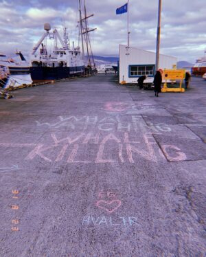 Hera Hilmar Instagram - The Whale Eye of the Storm 🐋

Iceland has just decided, by minister
@svandissvavarsdottir, to start whaling again. The quota this year is 209 fin whales. 

Today the ships were allowed to leave harbour, but the elements have spoken and a storm will keep them at bay till Monday.

Right now the film industry fights the whaling industry, that is jeopardising our country's income of at least 100-200 million dollars each year from foreign projects alone. The whaling industry, that is run at a loss each year (at least to the tax books), and at a loss for our reputation as a country.

On the 21st of August we accompanied @peggy_oki
to @svandissvavarsdottir office (Svandis was away so we met an assistant), the office of @gudlaugurthor Minister of Environment (Gudlaugur
was away so we met an assistant), to the Prime
Minister's @katrinjakobsd office (they had closed)
and the Icelandic Parliament (where we met MP of
the Pirate party @halldoramogensen), where she handed them the 161 origami fin whale curtain in
support of the fin whales Iceland is now about to kill
(and the 161 killed last season)

When we left the parliament this whale eye in the
sky was there, looking at us. 

No storm that day in sight. No wind. 
Just this image in the sky.

Let's all remember this isn't over yet 🐋

Petitions against whaling in Iceland in my bio @herahilmar