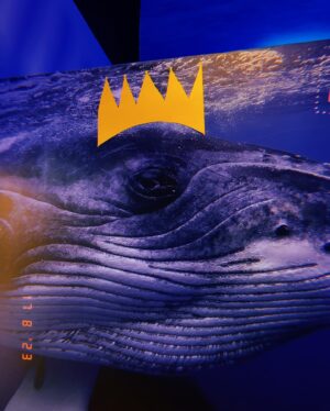 Hera Hilmar Instagram - The Whale Eye of the Storm 🐋

Iceland has just decided, by minister
@svandissvavarsdottir, to start whaling again. The quota this year is 209 fin whales. 

Today the ships were allowed to leave harbour, but the elements have spoken and a storm will keep them at bay till Monday.

Right now the film industry fights the whaling industry, that is jeopardising our country's income of at least 100-200 million dollars each year from foreign projects alone. The whaling industry, that is run at a loss each year (at least to the tax books), and at a loss for our reputation as a country.

On the 21st of August we accompanied @peggy_oki
to @svandissvavarsdottir office (Svandis was away so we met an assistant), the office of @gudlaugurthor Minister of Environment (Gudlaugur
was away so we met an assistant), to the Prime
Minister's @katrinjakobsd office (they had closed)
and the Icelandic Parliament (where we met MP of
the Pirate party @halldoramogensen), where she handed them the 161 origami fin whale curtain in
support of the fin whales Iceland is now about to kill
(and the 161 killed last season)

When we left the parliament this whale eye in the
sky was there, looking at us. 

No storm that day in sight. No wind. 
Just this image in the sky.

Let's all remember this isn't over yet 🐋

Petitions against whaling in Iceland in my bio @herahilmar