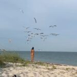 Herizen F. Guardiola Instagram - Had to post the full video so you guys could see how these birds were properly coming for me (don’t eat tuna sandwiches at the beach) 😂😭