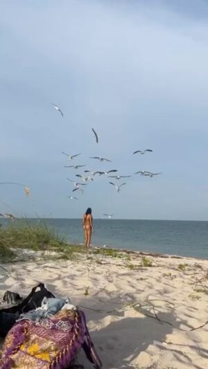Herizen F. Guardiola Instagram - Had to post the full video so you guys could see how these birds were properly coming for me (don’t eat tuna sandwiches at the beach) 😂😭