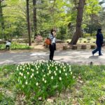 Hiccorohee Instagram - 友人たちと旅してきた！最高