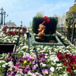 Hiccorohee Instagram - 友人たちと旅してきた！最高