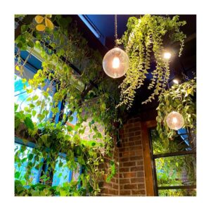 Higuchi Kaede Instagram - 手術の制限が緩くなった後に行ってきました💐✨withオカン🤭

緑がいっぱいでめっちゃ綺麗だったー！！
毎週お花が変わるカフェだって！
次はいつ行こうかな😌🎶

#aoyamaflowermarket #ティーハウス 
#青山フラワーマーケットティーハウス 
#コスモス #cosmos 
#flowerstagram #flowercafe