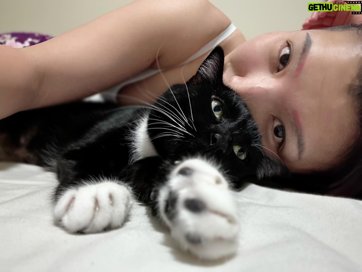Hikaru Shida Instagram - ねこ。かわいい。 #hikarushida #lfewithcats