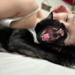 Hikaru Shida Instagram - ねこ。かわいい。 #hikarushida #lfewithcats