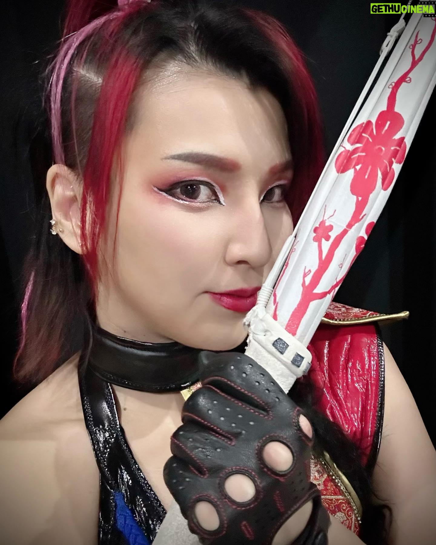 Hikaru Shida Instagram - My Kendo stick is so beautiful. #AEW #AEWDynamite #AEWAllIn #hikarushida