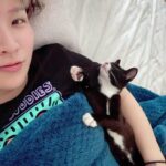 Hikaru Shida Instagram – Let me introduce RUTA’s little sister to all✨
Her name is Medoh and she’s definitely crazy😂
.
実はルッタに妹ができました。名前はメドーです。完全にイカれ子猫です😂
#hikarushida #catlovers #lifewithcats