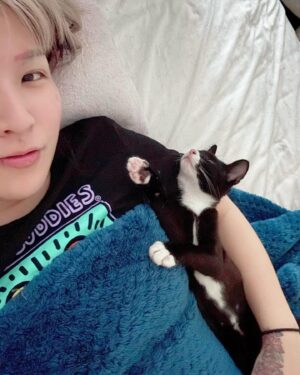 Hikaru Shida Instagram - Let me introduce RUTA’s little sister to all✨
Her name is Medoh and she’s definitely crazy😂
.
実はルッタに妹ができました。名前はメドーです。完全にイカれ子猫です😂
#hikarushida #catlovers #lifewithcats
