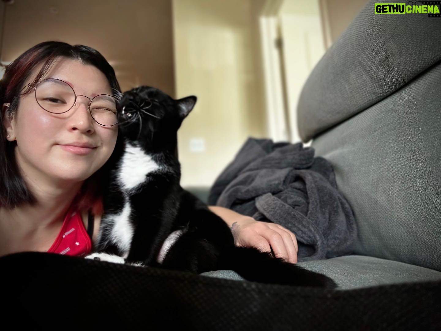 Hikaru Shida Instagram - Bestie👩❤️🐈⬛ #lifewithcats #hikarushida #ねこのいる生活