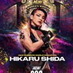 Hikaru Shida Instagram - #ANDNEW #AEW Women’s World Champion for the second-time @shidahikaru!