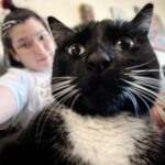 Hikaru Shida Instagram – Chiiiiill 🐈‍⬛✨
#hikarushida #lifewithcats #猫のいる暮らし