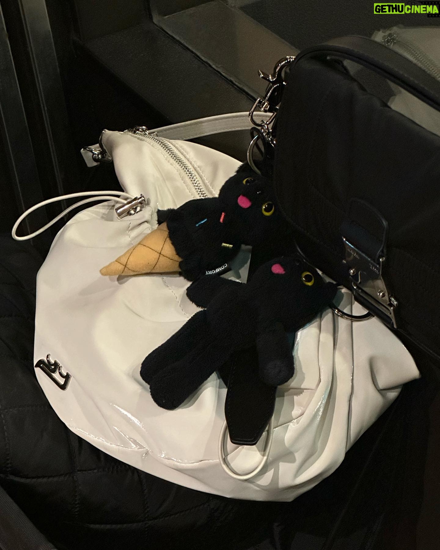 Hina Ishizaki Instagram - 気温がジェットコースター😮🎢 この間、夜風が春の香りがしてワクワクした~♩
