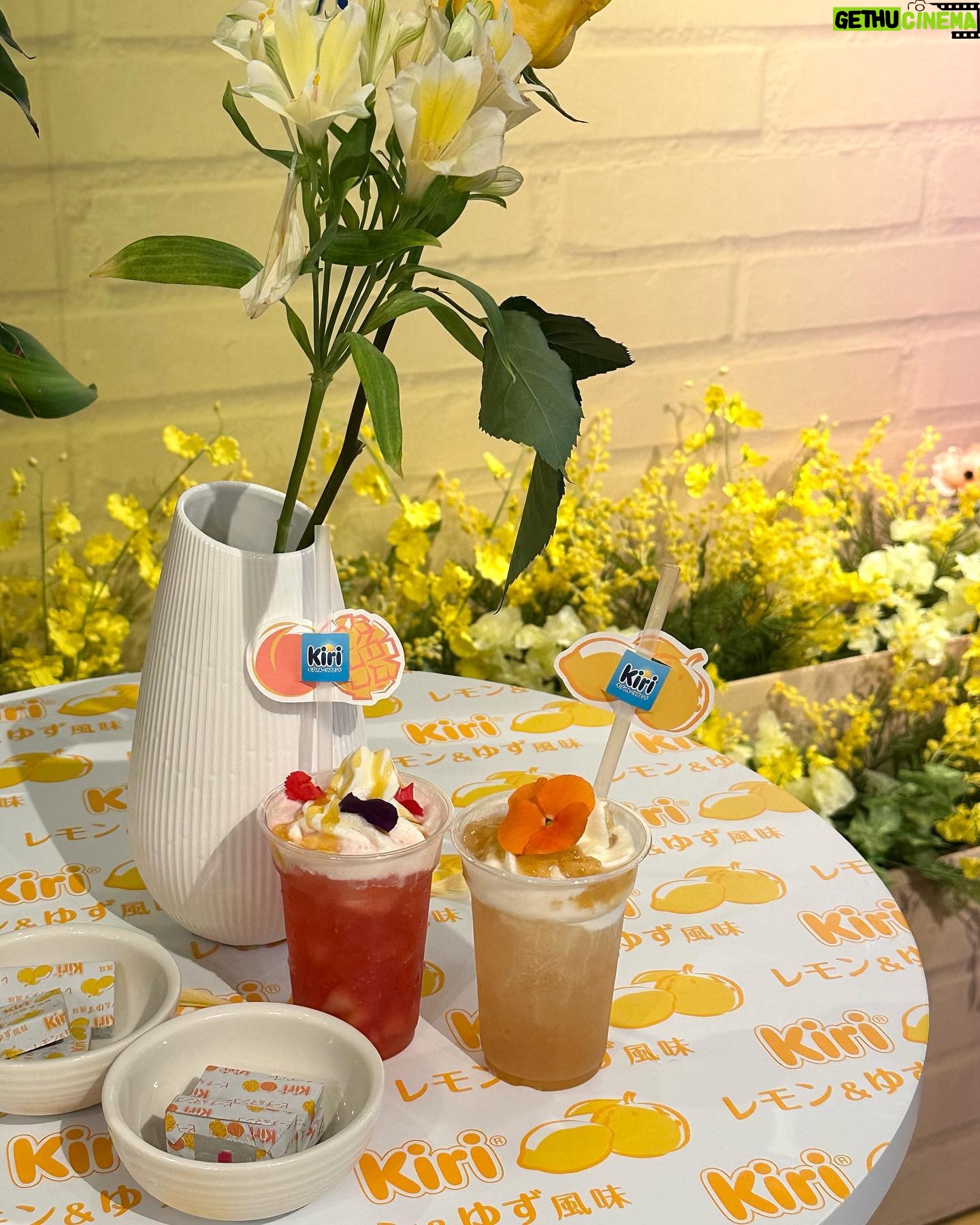 Hina Ishizaki Instagram - Kiri🐮🍋🍑 初めてのスイートフレーバーが登場! 新商品の世界観を体験できるポップアップイベント 「フルーティーなごほうびカフェ」にお邪魔しました♩ キリ フルーツブレンド 「キリ フルーツブレンド レモン&ゆず風味」 「キリ フルーツブレンド ピーチ&マンゴー」が新登場! イベントの様子を撮影してInstagramに投稿すると オリジナルドリンクや新商品が貰えたり!?しちゃいます🍹 さらにキリ フルーツブレンドを、 ご自身がリラックス・リフレッシュできる空間で一緒に撮影 指定のハッシュタグと共にInstagramに投稿すると 新商品やキリ オリジナル癒しグッズが当たるSNSキャンペーンも実施中かも🎁 詳しくは @kirijp_cp をチェックしてね~ #PR @kirijp_cp #kiri #キリ #kirifruitsblend #キリフルーツブレンド #プレゼントキャンペーン