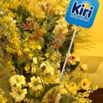 Hina Ishizaki Instagram - ⁡Kiri🐮🍋🍑 ⁡ 初めてのスイートフレーバーが登場！ 新商品の世界観を体験できるポップアップイベント 「フルーティーなごほうびカフェ」にお邪魔しました♩ ⁡ キリ フルーツブレンド 「キリ フルーツブレンド レモン&ゆず風味」 「キリ フルーツブレンド ピーチ&マンゴー」が新登場！ ⁡ イベントの様子を撮影してInstagramに投稿すると オリジナルドリンクや新商品が貰えたり!?しちゃいます🍹 ⁡ さらにキリ フルーツブレンドを、 ご自身がリラックス・リフレッシュできる空間で一緒に撮影 指定のハッシュタグと共にInstagramに投稿すると 新商品やキリ オリジナル癒しグッズが当たるSNSキャンペーンも実施中かも🎁 詳しくは @kirijp_cp をチェックしてね~ ⁡ #PR @kirijp_cp #kiri #キリ #kirifruitsblend #キリフルーツブレンド #プレゼントキャンペーン