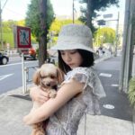 Hina Kikuchi Instagram - 🐶‪ 𓈒𓏸 お散歩日和だった🐾