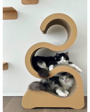 Hinako Umemura Instagram - .
❤️‍🔥lovely lovely 3cats❤️‍🔥