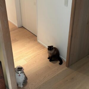 Hinako Umemura Instagram - 
