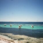 Hiroe Igeta Instagram - 空気感が心地良くて 心身共に癒やされたパース🇦🇺 これにて旅写真終わり☺️ #film