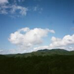 Hiroe Igeta Instagram - まだもう少し寒い日が続きそうですが、 冬も終わりに近づいているということで 冬の思い出たち🇦🇺 #film
