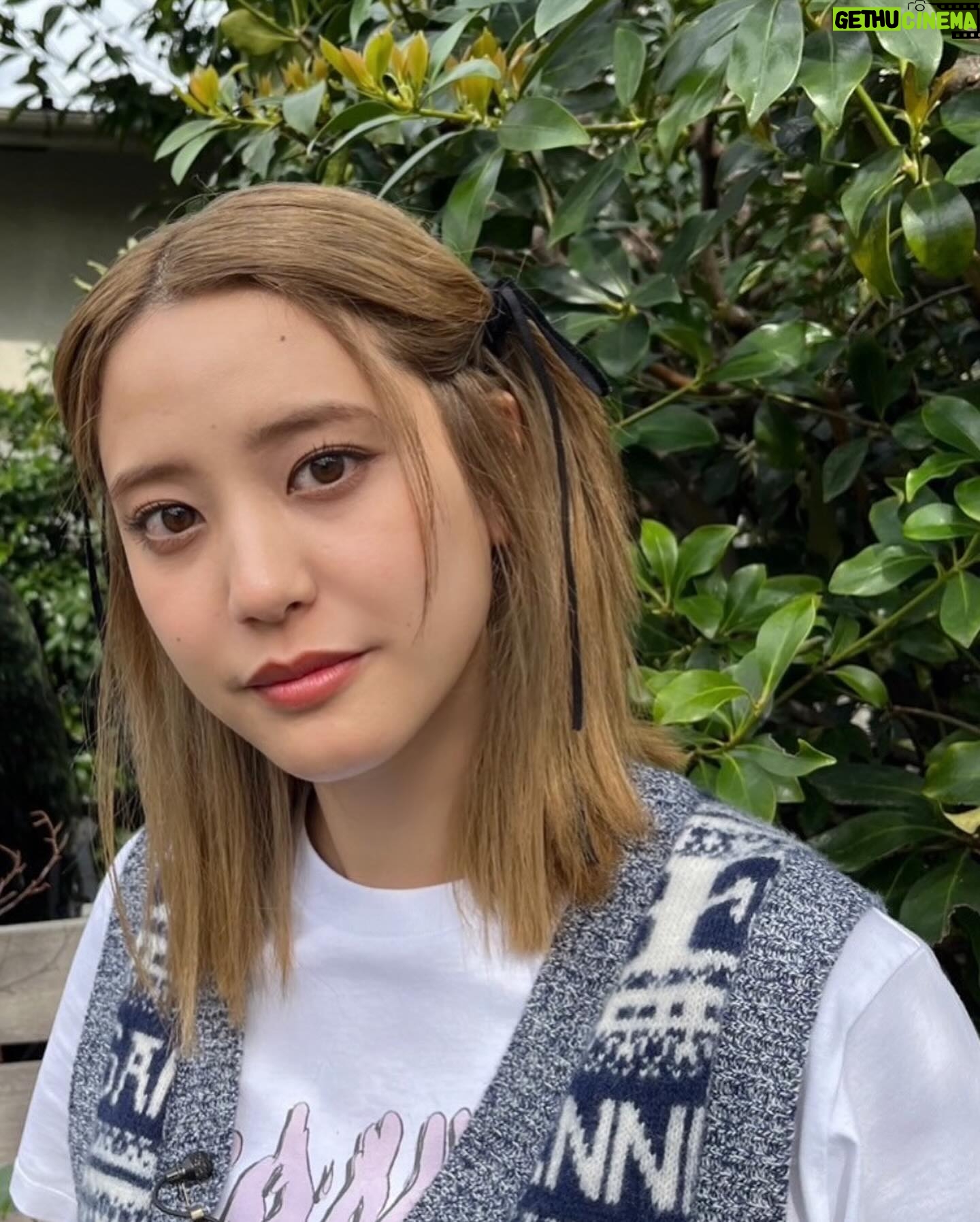 Hirona Yamazaki Instagram - 本日23:00~の #BSTBS『#ねこ自慢』に 出演させていただきます🤭 ねこにまみれてきました🐈🐈🐈 ねこねこ❤️❤️ #猫好きにはたまらん
