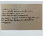 Hivda Zizan Alp Instagram - 30
