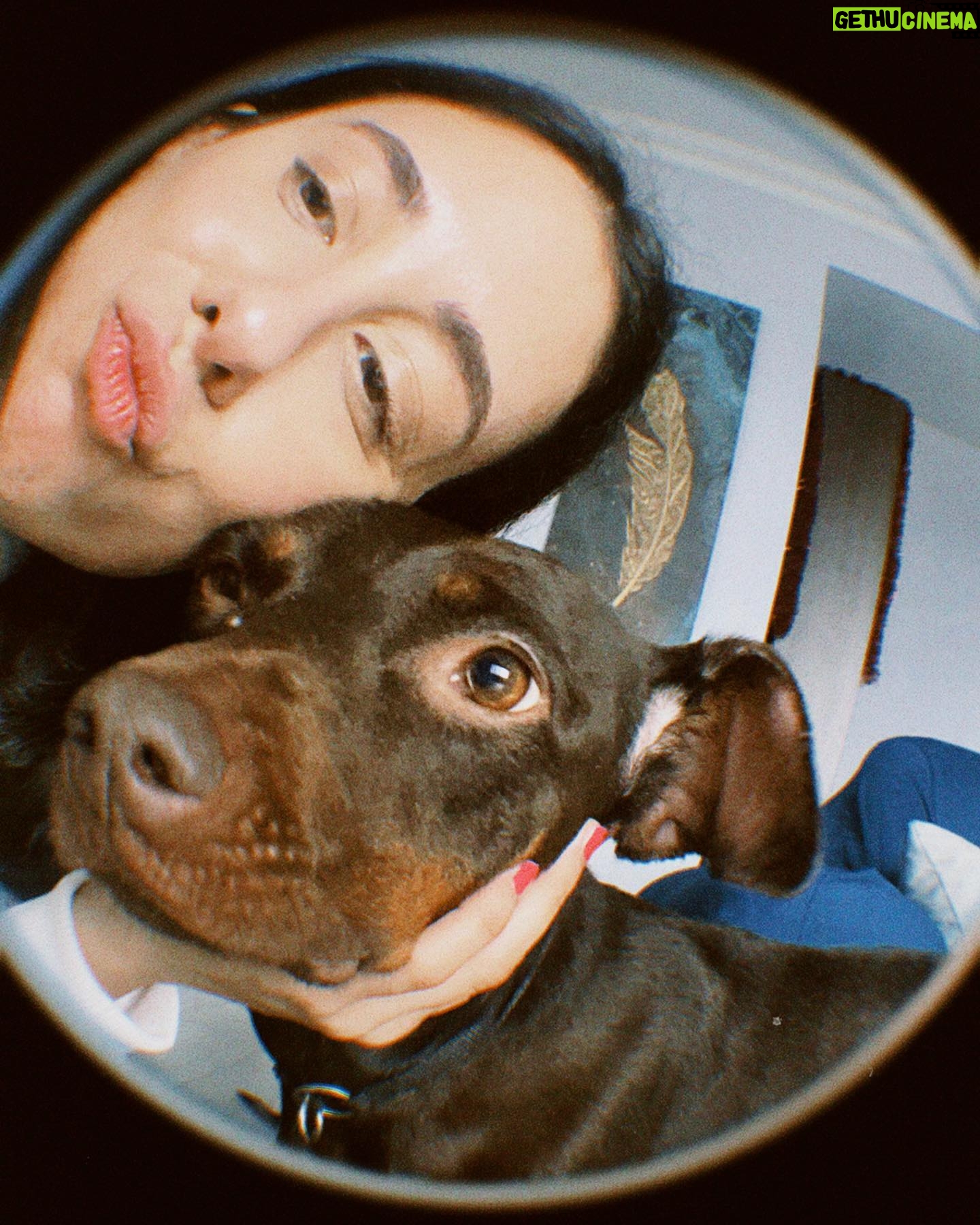 Hivda Zizan Alp Instagram - Mazbut bir hayat, sağlam bir ahlak, bol bol köpek 🐶
