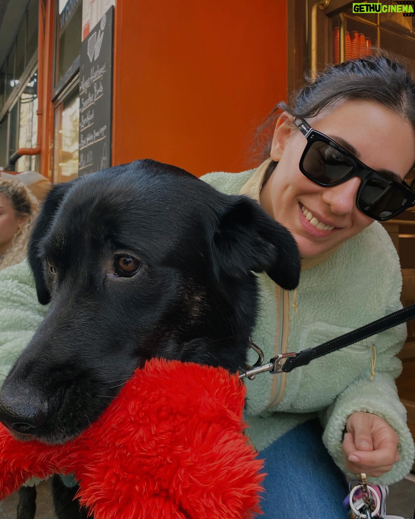 Hivda Zizan Alp Instagram - Mazbut bir hayat, sağlam bir ahlak, bol bol köpek 🐶