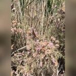 Hoda Zeinolabedin Instagram - گذشت ميكنم .. گذشت ميكنم كه آسايش داشته باشم به فراموشي ميسپارم تا لبخند بزنم سكوت ميكنم تا با كسي بحث و جدل نكنم چشم پوشي ميكنم.. چون هيچ چيز ارزش ناراحت شدن ندارد صبر ميكنم چون بي نهايت به خدا اميدوارم ...❤️