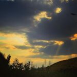 Hoda Zeinolabedin Instagram - زندگي را ورق بزن… هر فصلش را خوب بخوان… با بهار برقص… با تابستان بچرخ… در پاييزش عاشقانه قدم بزن… با زمستانش بشين و چايت را به سلامتي نفس كشيدنت بنوش… زندگي را بايد زندگي كرد، آنطور كه دلت ميگويد… مبادا زندگي را دست نخورده براي مرگ بگذاري…