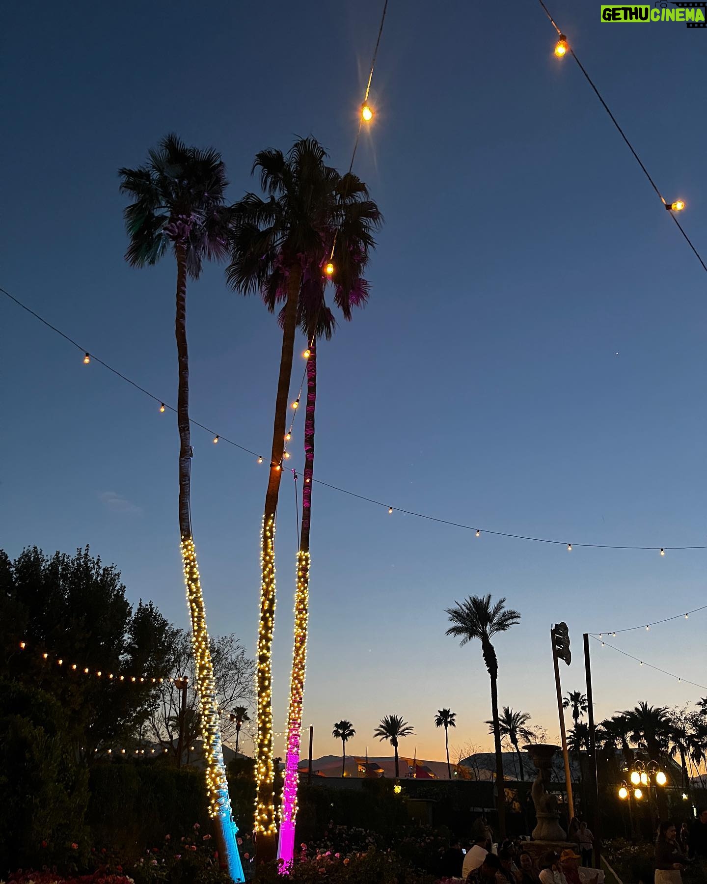 Holly Earl - 11.5K Likes - Coachella over and out ☀️