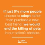 Holly Taylor Instagram - !! its national best friends day !! what better way to celebrate than by bringing a new best friend home from a shelter 🐾 this statistic is so powerful, so be a part of the change by donating to @bestfriendsanimalsociety , adopting, or spreading the word 🧡 donations are being matched today for double the love ! my best friend jimi pictured here, miss him every day 🪽 #BringLoveHome
