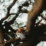Holly Taylor Instagram - happy belated bday to earth i love u 🌳 @bpricephotography