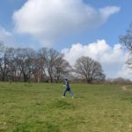 Holly Taylor Instagram - rapidly approaching my bird watching era i can feel it