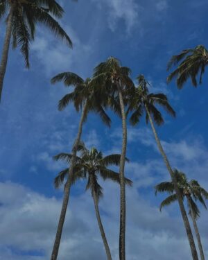 Honey Robinson Instagram - pura vida 

#explore #explorepage