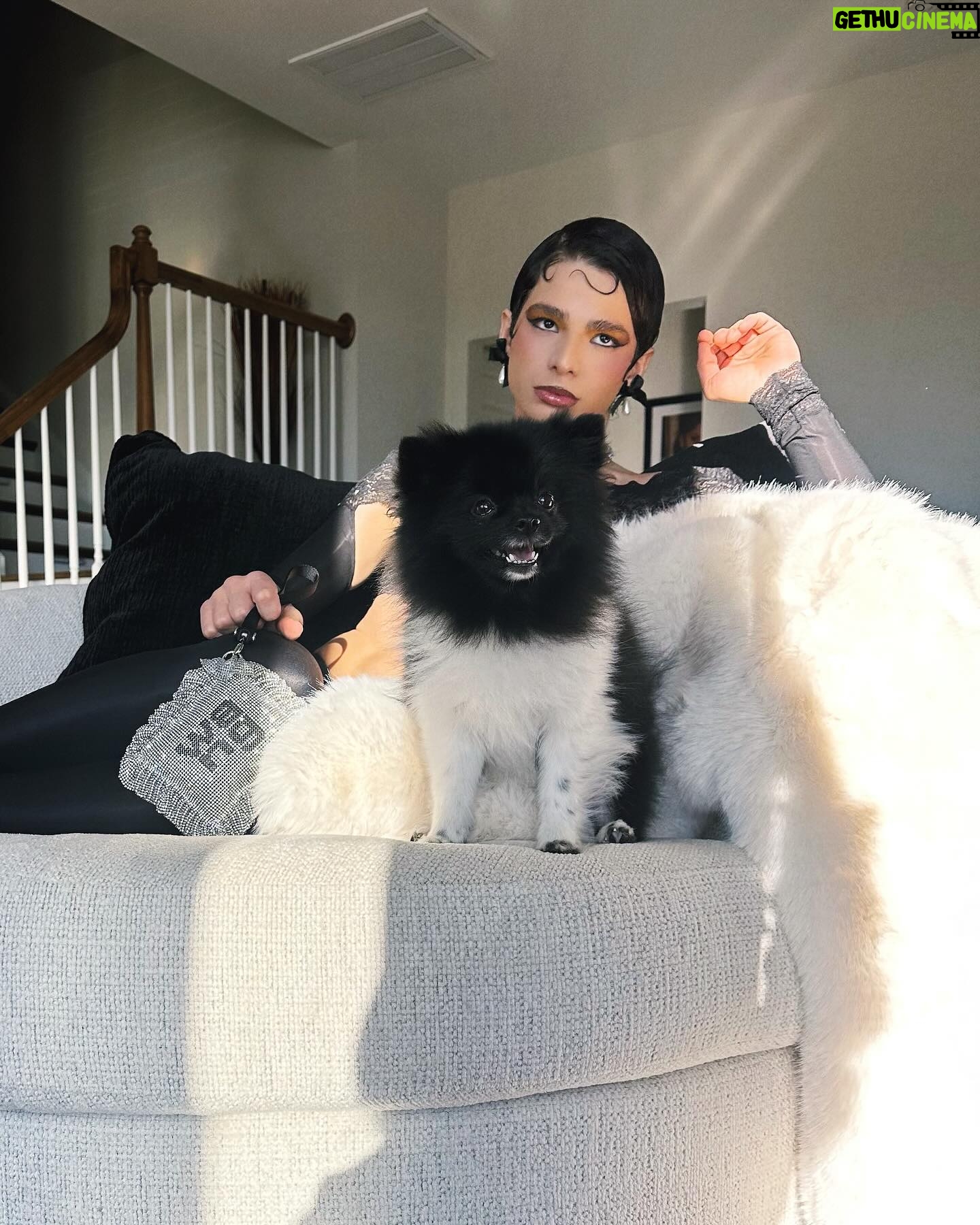 Honey Balenciaga Instagram - Ms. Diva🫸🏻