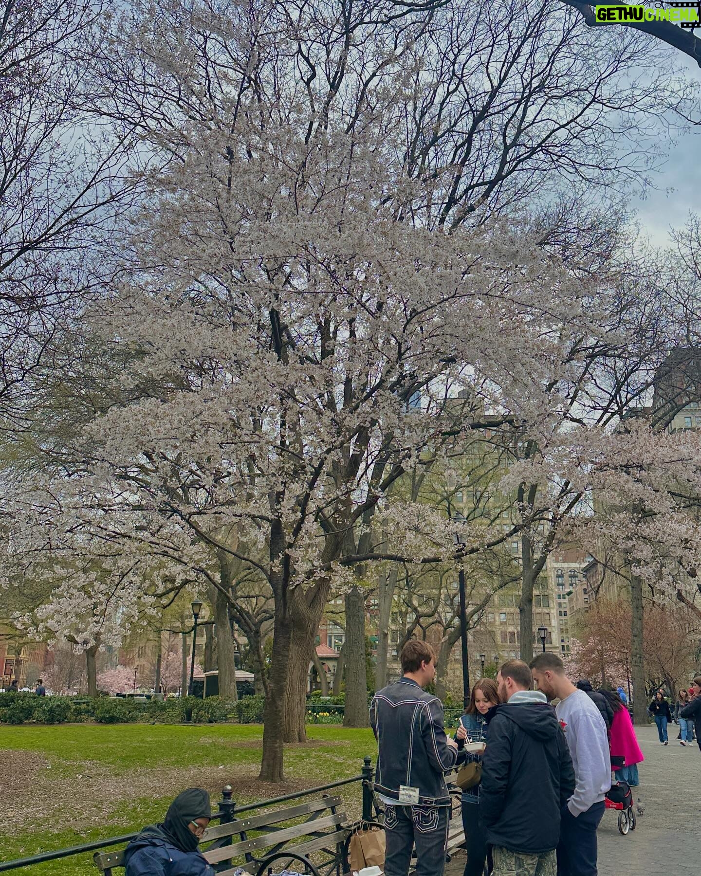 Hong Ji-yoon Instagram - Spring in newyorkcity 🍅