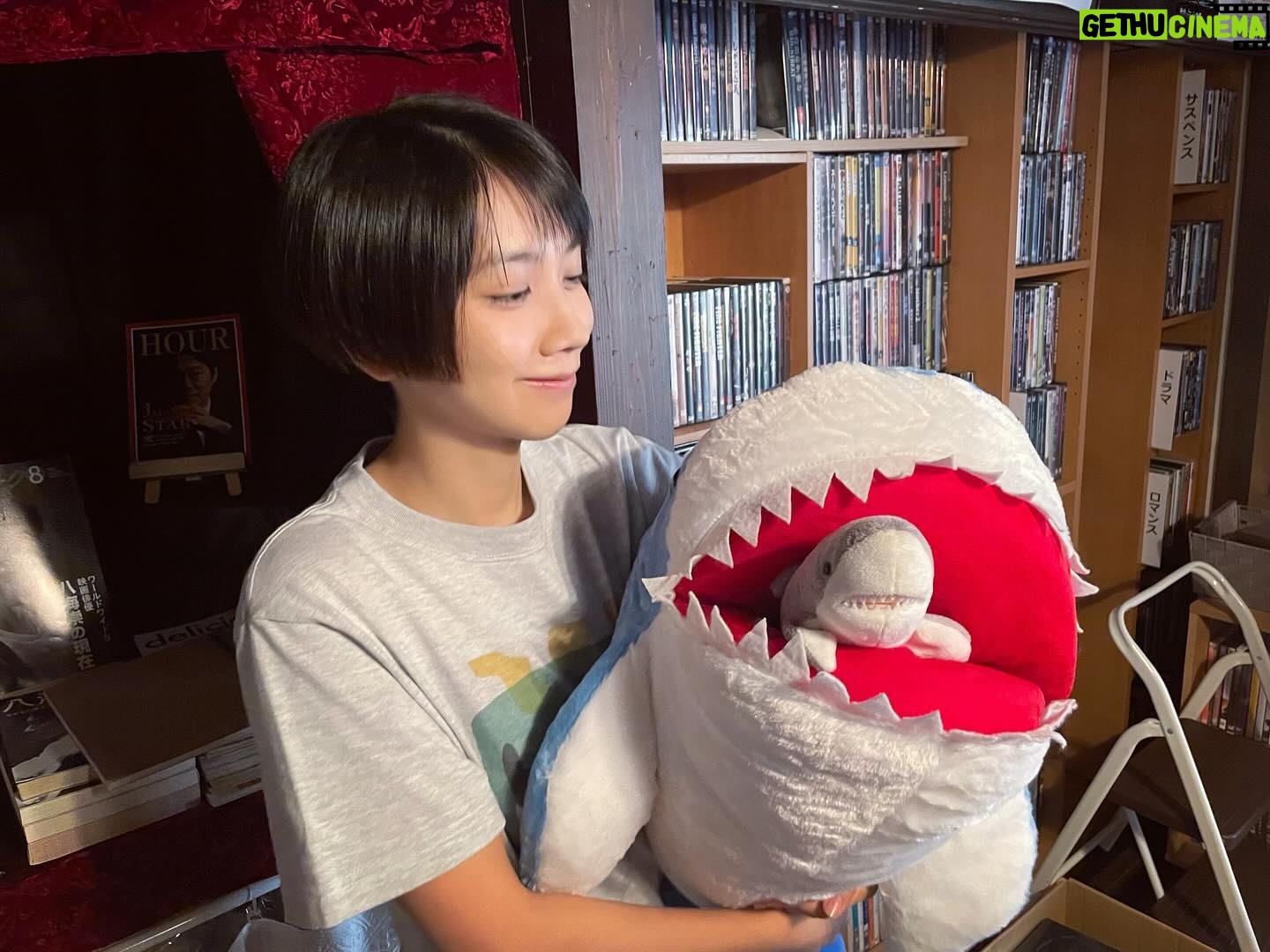 Honoka Matsumoto - 8.7K Likes - .
お馴染みジョーズくん&小ジョーズくん🦈
#ミワさんなりすます
#松本穂香
#ジョーズくん顔見えてなくてごめん