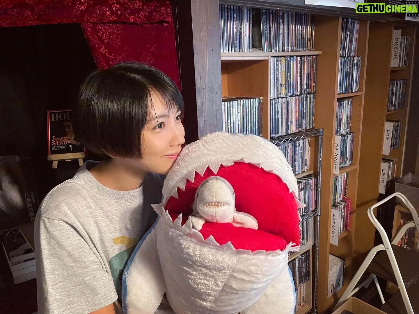 Honoka Matsumoto - 8.7K Likes - .
お馴染みジョーズくん&小ジョーズくん🦈
#ミワさんなりすます
#松本穂香
#ジョーズくん顔見えてなくてごめん