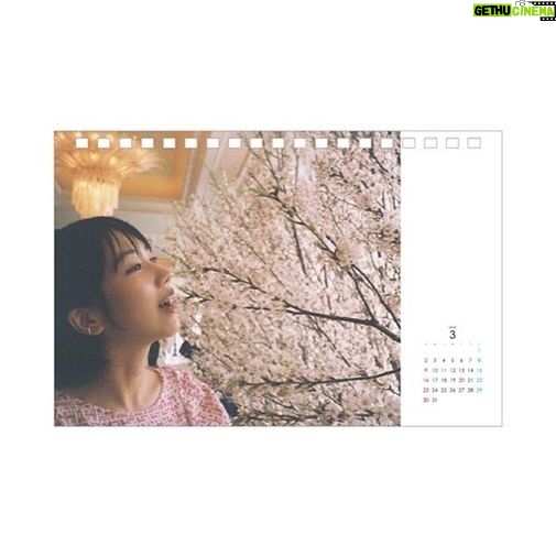 Honoka Matsumoto Instagram - . 松本穂香カレンダー2024 『I want to meet YOU』の発売が決定しました🗓️ 初の単独カレンダーです☺️ 今回のカレンダーに使われる写真は 全てマネさんカメラによるオフショットです。 普段インスタに投稿する写真よりも オフ感強めの松本穂香をセレクトしました📸 素人が撮った写真ですが、マネージャーにしか撮れない松本があると信じてシャッターを押しています。 (マネージャーが勝手にグッズを作ってみたシリーズの延長みたいなところはあります) ▼ こちらはFLaMme Mail Orderとアスマートにて どなたでもご購入いただけます! FLaMme Mail Orderでご予約いただいた方には 抽選で10名様に松本の直筆サイン入りの商品をお届けします! そしてFLaMme PRESS会員特典として ご購入いただいた方もれなく全員に!直筆サインとひとことメッセージ付きの商品をお届けします! 発売は3月を予定していますが ぜひ、お早めにご予約いただいたほうが良いかと🫡 #松本穂香 #松本穂香カレンダー2024 ※写真はイメージです